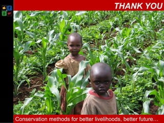 Climate smart push-pull a conservation agriculture technology for food ...