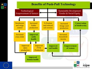 Climate smart push-pull a conservation agriculture technology for food ...