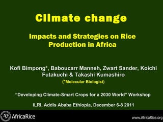 Climate change Impacts and Strategies on Rice Production in Africa ,[object Object],[object Object],[object Object],[object Object]