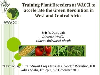 Training Plant Breeders at WACCI to
              accelerate the Green Revolution in
                   West and Central Africa


                         Eric Y. Danquah
                          Director, WACCI
                      edanquah@wacci.edu.gh




“Developing Climate-Smart Crops for a 2030 World” Workshop, ILRI,
            Addis Ababa, Ethiopia, 6-8 December 2011
 