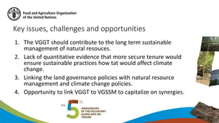 Key issues, challenges and opportunities
1. The VGGT should contribute to the long term sustainable
management of natural ...