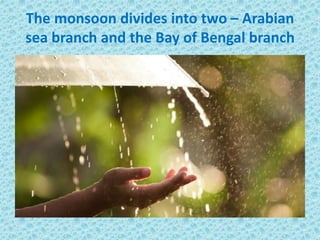 The monsoon divides into two – Arabian
sea branch and the Bay of Bengal branch
 