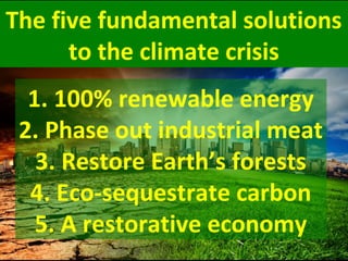 insideclimatenews.org
 