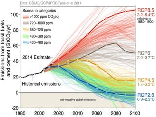 A Global Carbon Cap
A firm global cap
on fossil fuel emissions,
agreed to by all nations,
motivated by real alarm,
and a clear positive vision
of a future green
economy.
By 2015, a global cap of
493 Gt of future CO2
 