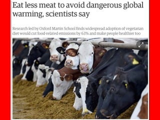 How long
will the budget
last?
 