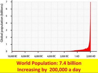 Vancouver Island, British Columbia
 