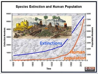 Vancouver Island, British Columbia
 