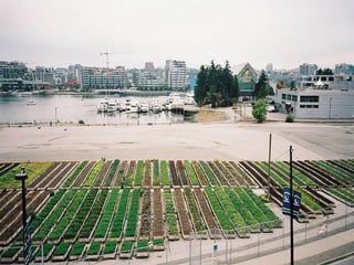 Somewhere in Germany
(or Austria)
 