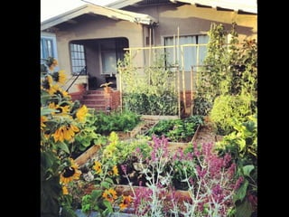 Dubai Sustainable City
 