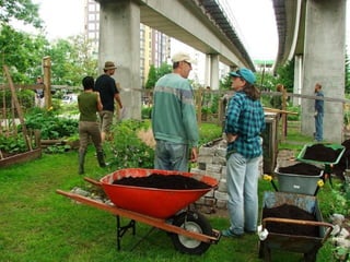 Nelson’s Community Solar Garden
 