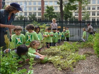 21 kW. The money saved goes into
Climate and Renewable Energy scholarships
for the students
 