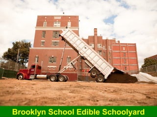 Solar Stadium, Taiwan
 