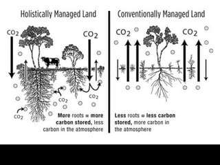 Guy Dauncey 2015
www.earthfuture.com
Installation Operation/Maintenance
Per Year Year 1 Year 25
Solar 101,000 1,700 42,000
Wind 29,000 700 15,000
Geothermal 15,000 600 14,000
TOTAL 145,000 3,000 71,000
 