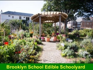 Brooklyn School Edible Schoolyard
 
