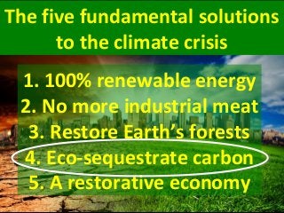 The five fundamental solutions
to the climate crisis
tothe climate crisis
1. 100% renewable energy
2. No more industrial meat
3. Restore Earth’s forests
4. Eco-sequestrate carbon
5. A restorative economy
 