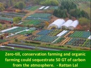 Zero-till, conservation farming and organic
farming could sequestrate 50 GT of carbon
from the atmosphere. - Rattan Lal
 