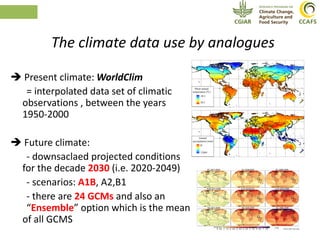 Climate Analogues - Introduction