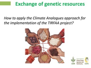 Climate Analogues - Introduction