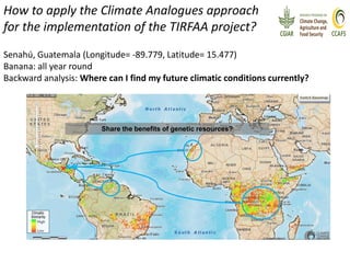 Climate Analogues - Introduction