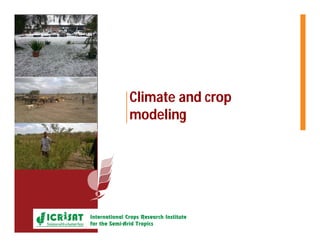 Picture here
Climate and crop
modeling
 