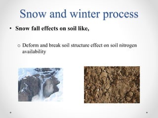 Climate and its effects on soil | PPTX