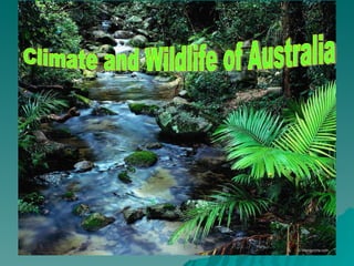 Climate and Wildlife of Australia 