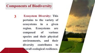 Components of Biodiversity
3 Ecosystem Diversity: This
pertains to the variety of
ecosystems in a given
region. Ecosystems are
composed of various
species and their physical
environments, and their
diversity contributes to
overall ecological resilience.
 