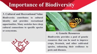 Importance of Biodiversity
3. Cultural and Recreational Value
Biodiversity contributes to cultural
identity and provides recreational
opportunities. Many societies have deep
cultural connections to specific species
or ecosystems.
4. Genetic Resources
Biodiversity provides a pool of genetic
resources that can be used to improve
crops, livestock, and other cultivated
species, enhancing their resilience to
pests and diseases.
 