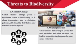 Threats to Biodiversity
3. Climate Change
Global climate change poses a
significant threat to biodiversity, as it
alters temperature and precipitation
patterns, affecting the distribution and
behavior of many species.
4. Overexploitation
Unsustainable harvesting of species for
food, medicine, and other purposes can
lead to population declines and, in some
cases, extinction.
 