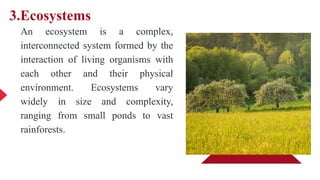 3.Ecosystems
An ecosystem is a complex,
interconnected system formed by the
interaction of living organisms with
each other and their physical
environment. Ecosystems vary
widely in size and complexity,
ranging from small ponds to vast
rainforests.
 