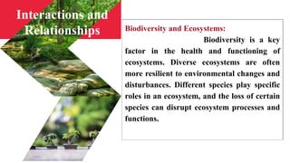 Biodiversity and Ecosystems:
Biodiversity is a key
factor in the health and functioning of
ecosystems. Diverse ecosystems are often
more resilient to environmental changes and
disturbances. Different species play specific
roles in an ecosystem, and the loss of certain
species can disrupt ecosystem processes and
functions.
Interactions and
Relationships
 
