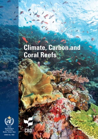 Climate, Carbon and
Coral Reefs
WMO-No. 1063
 