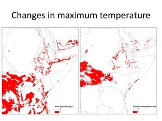 Climate change adaptation in northern Ethiopia