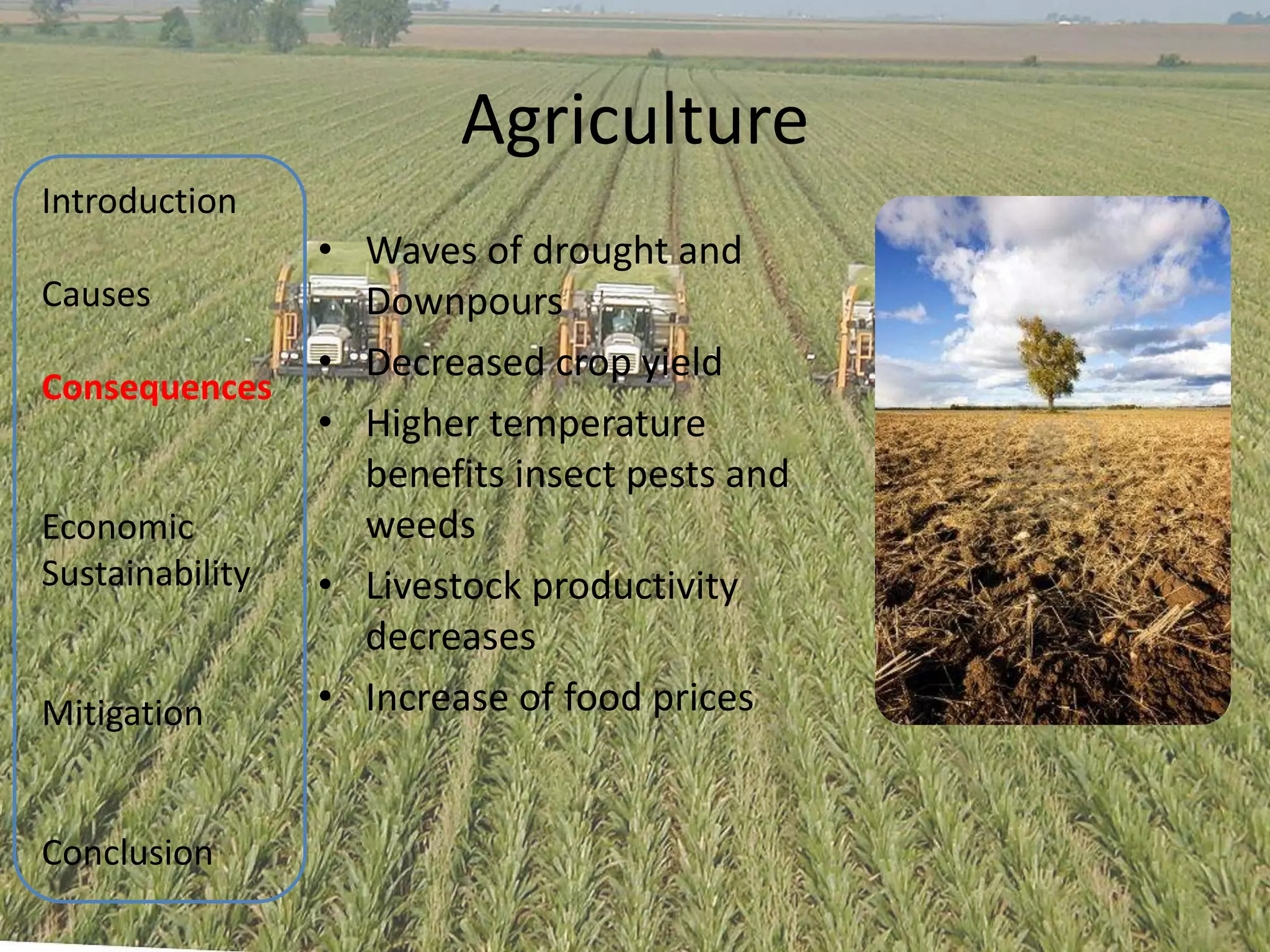 Agriculture
Introduction
                 • Waves of drought and
Causes             Downpours
                 • Decreased crop yield
Consequences
                 • Higher temperature
                   benefits insect pests and
Economic           weeds
Sustainability   • Livestock productivity
                   decreases
Mitigation       • Increase of food prices


Conclusion
 