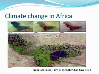 Climate change in Africa 
From 1973 to 2001, 50% of the Lake Chad have dried 
 