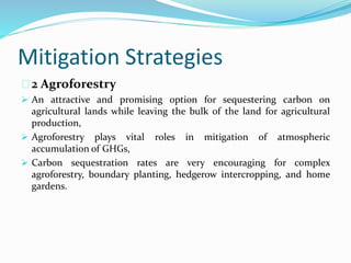 Mitigation Strategies 
2 Agroforestry 
 An attractive and promising option for sequestering carbon on 
agricultural lands while leaving the bulk of the land for agricultural 
production, 
 Agroforestry plays vital roles in mitigation of atmospheric 
accumulation of GHGs, 
 Carbon sequestration rates are very encouraging for complex 
agroforestry, boundary planting, hedgerow intercropping, and home 
gardens. 
 
