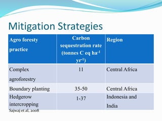 Mitigation Strategies 
Agro foresty 
practice 
Carbon 
sequestration rate 
(tonnes C eq ha-1 
yr-1) 
Region 
Complex 
agroforestry 
11 Central Africa 
Boundary planting 35-50 Central Africa 
Hedgerow 
1-37 Indonesia and 
intercropping 
India 
Sajwaj et al, 2008 
 