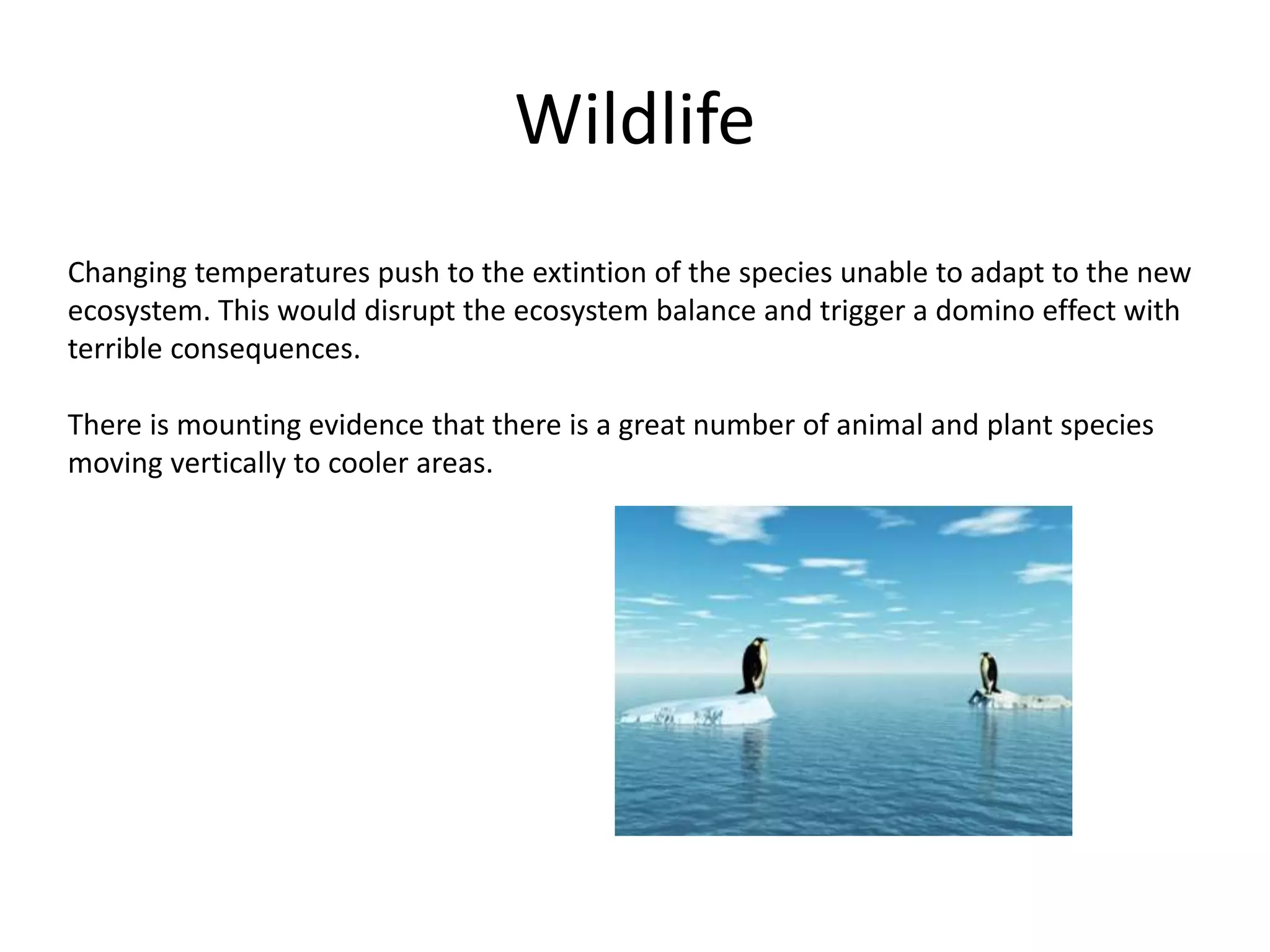 Wildlife
Changing temperatures push to the extintion of the species unable to adapt to the new
ecosystem. This would disrupt the ecosystem balance and trigger a domino effect with
terrible consequences.
There is mounting evidence that there is a great number of animal and plant species
moving vertically to cooler areas.
 