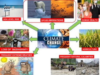 Climate change and migration | PPT