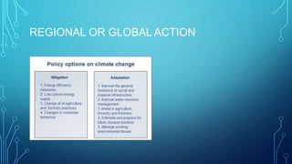 REGIONAL OR GLOBAL ACTION
 