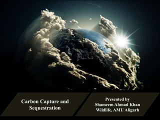 Carbon Capture and
Sequestration
Presented by
Shameem Ahmad Khan
Wildlife, AMU Aligarh
 