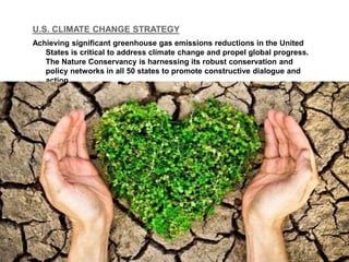 U.S. CLIMATE CHANGE STRATEGY
Achieving significant greenhouse gas emissions reductions in the United
States is critical to address climate change and propel global progress.
The Nature Conservancy is harnessing its robust conservation and
policy networks in all 50 states to promote constructive dialogue and
action.
 