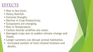 EFFECTS
 Rise in Sea level.
 Heavy Rainfall.
 Extreme Drought.
 Decline in Crop Productivity.
 Ecosystems are changing.
 Rise in Temperature.
 Carbon dioxide acidifies sea water.
 Damaged crops due to sudden climate change and
floods.
 Longer summers can disrupt animal habitation.
 Increased number of heat-related illnesses and
deaths.
 