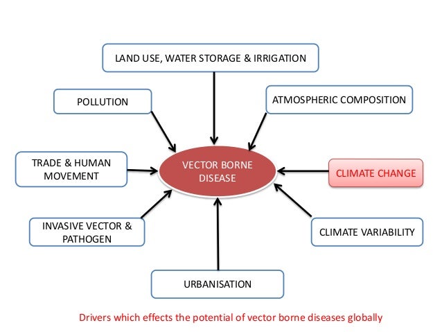 Variability Of Natural Gas Composition Globally Variability Of Natural Gas Composition Globally