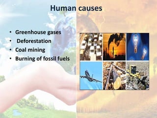 Human causes
• Greenhouse gases
• Deforestation
• Coal mining
• Burning of fossil fuels
 