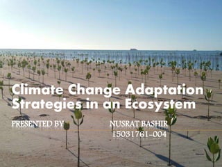 PRESENTED BY NUSRAT BASHIR
15031761-004
Climate Change Adaptation
Strategies in an Ecosystem
 