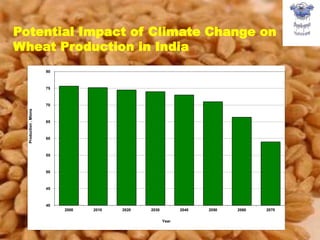 11
40
45
50
55
60
65
70
75
80
2000 2010 2020 2030 2040 2050 2060 2070
Production,Mtons
Year
Potential Impact of Climate Change on
Wheat Production in India
 