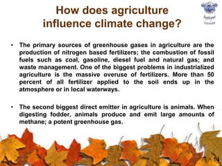 How does agriculture
influence climate change?
• The primary sources of greenhouse gases in agriculture are the
production of nitrogen based fertilizers; the combustion of fossil
fuels such as coal, gasoline, diesel fuel and natural gas; and
waste management. One of the biggest problems in industrialized
agriculture is the massive overuse of fertilizers. More than 50
percent of all fertilizer applied to the soil ends up in the
atmosphere or in local waterways.
• The second biggest direct emitter in agriculture is animals. When
digesting fodder, animals produce and emit large amounts of
methane; a potent greenhouse gas.
14
 