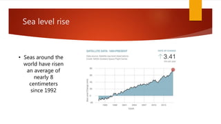 Sea level rise
• Seas around the
world have risen
an average of
nearly 8
centimeters
since 1992
 