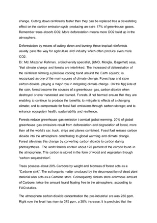 change. Cutting down rainforests faster than they can be replaced has a devastating
effect on the carbon emission cycle producing an extra 17% of greenhouse gases.
Remember trees absorb CO2. More deforestation means more CO2 build up in the
atmosphere.
Deforestation by means of cutting down and burning these tropical rainforests
usually pave the way for agriculture and industry which often produce even more
CO2.
Dr. Md. Miazanur Rahman, a biodiversity specialist, (UNO, Mongla, Bagerhat) says,
“that climate change and forests are interlinked. The increased of deforestation of
the rainforest forming a precious cooling band around the Earth equator, is
recognized as one of the main causes of climate change. Forest trap and store
carbon dioxide, playing a major role in mitigating climate change. On the flip[ side of
the coin, forest become the sources of a greenhouse gas, carbon dioxide when
destroyed or ever harvested and burned. Forests, if not harmed ensure that they are
enabling to continue to produce the benefits; to mitigate to effects of a changing
climate; and to compensate for fossil fuel emissions through carbon storage; and to
enhance ecosystem health, sustainability and resilience.
Forests reduce greenhouse gas emission t combat global warming. 20% of global
greenhouse gas emissions result from deforestation and degradation of forest, more
than all the world’s car, truck, ships and planes combined. Fossil fuel release carbon
dioxide into the atmosphere contributing to global warming and climate change.
Forest alleviates this change by converting carbon dioxide to carbon during
photosynthesis. The world forests contain about 125 percent of the carbon found in
the atmosphere. This carbon is stored in the form of wood and vegetarian through
“carbon sequestration”.
Trees possess about 20% Carbone by weight and biomass of forest acts as a
“Carbone sink”. The soil organic matter produced by the decomposition of dead plant
material also acts as a Carbone store. Consequently forests store enormous amount
of Carbone, twice the amount found floating free in the atmosphere, according to
FAQ studies.
The atmosphere carbon dioxide concentration the pre-industrial era was 280 ppm.
Right now the level has risen to 375 ppm, a 30% increase. It is predicted that the
 